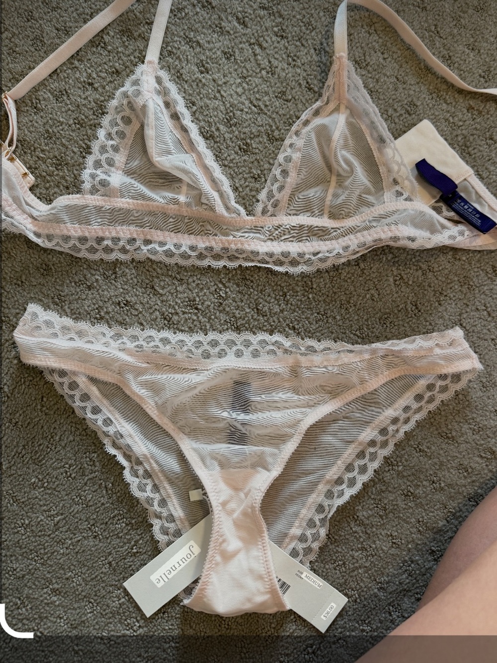 Journelle pink sheer scallop lingerie set. Top size small bottoms size med NWT